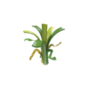 Basic Plus - Imagen 2